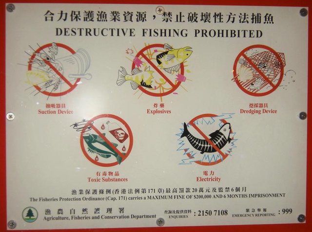 fishings