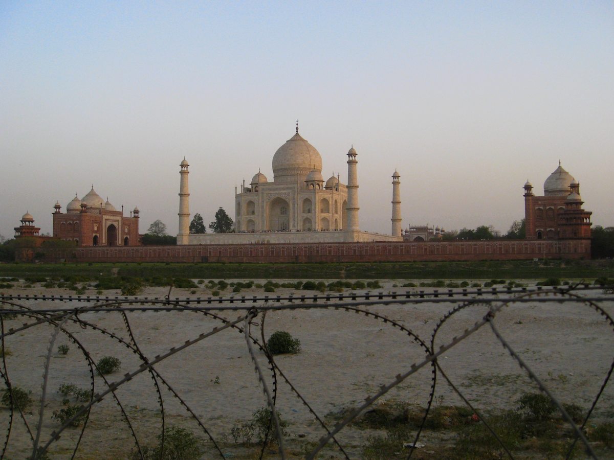 barbed_Taj