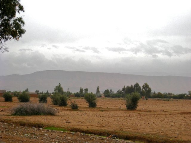 Maroc_2202_pic23