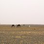 Maroc_2302_pic53