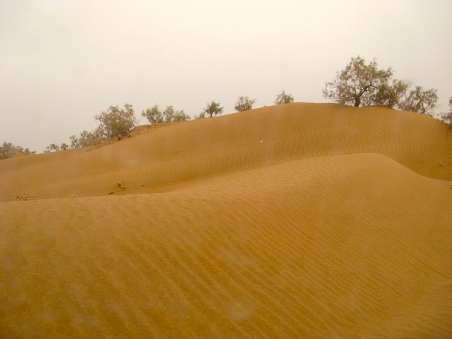 Maroc_2302_pic63