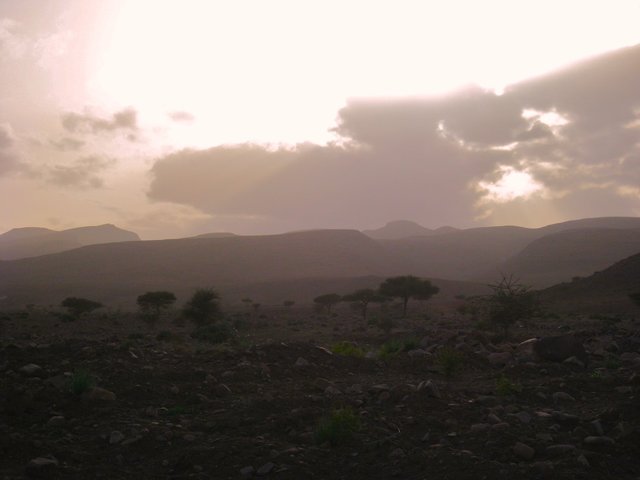 Maroc_2402_pic81