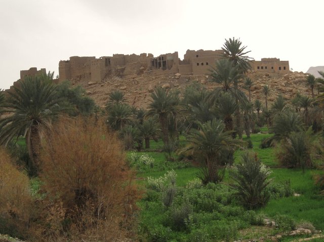 Maroc_2502_pic93