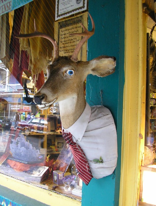 Saranac Lake shop