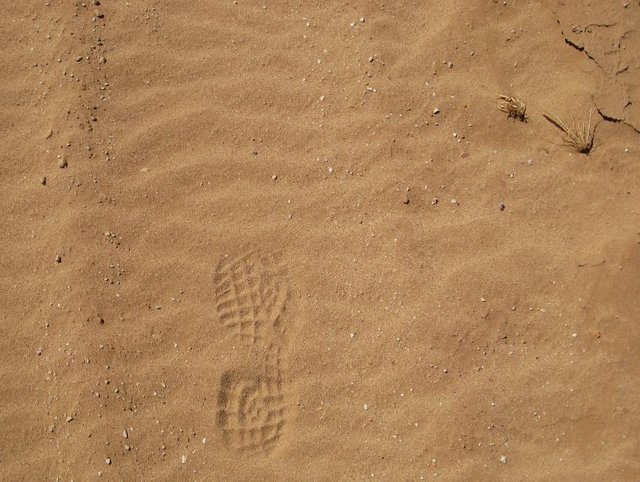 sandy_footprint