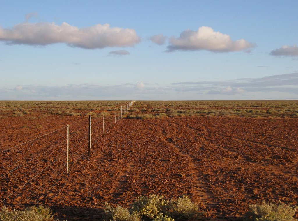 long_fence