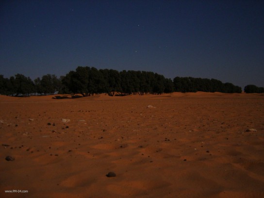 ksar_ghilane_moonlight_2